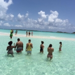 Ionel Istrati isi face de cap in Bahamas. Face baie cu porcii si este inconjurat de multe fete sexi